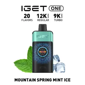 IGET ONE 12000 Puffs - Mountain Spring Mint Ice