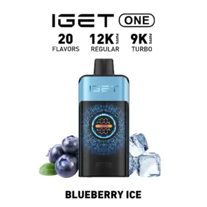 IGET ONE 12000 Puffs - Blueberry Ice