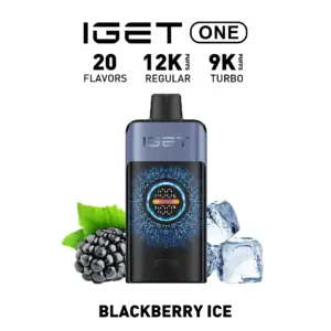 IGET ONE 12000 Puffs - Blackberry Ice