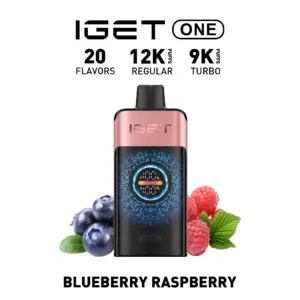 IGET ONE 12000 Puffs - Blueberry Raspberry