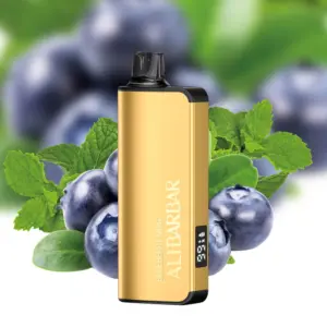 Alibarbar Ingot 9000 Puffs – Blueberry Mint Disposable Vape