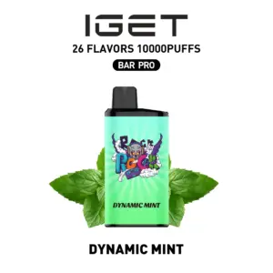 IGET BAR PRO 10000 Puffs – Dynamic Mint