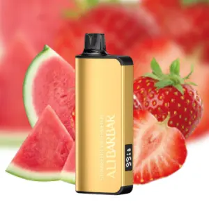 Alibarbar Ingot 9000 Puffs – Strawberry Watermelon Disposable Vape