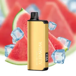 Alibarbar Ingot 9000 Puffs – Watermelon Ice Disposable Vape